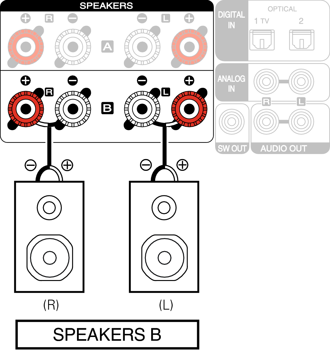 Conne SP B MCR612